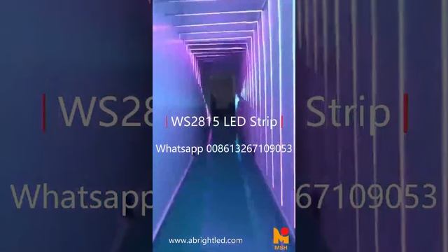 Colorful corridor смотреть онлайн