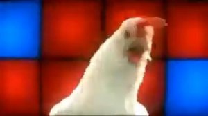 петух поет))