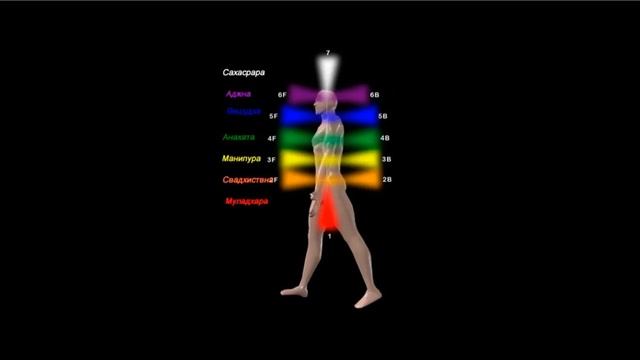 Расположение и вращение чакр смотреть онлайн