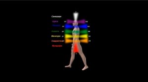 Расположение и вращение чакр