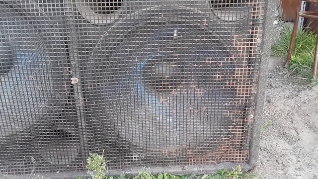 качаем концертный сабвуфер автомобильным усилителем смотреть онлайн