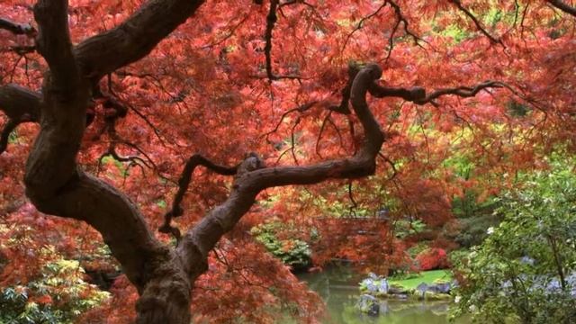 Священная мантра Гаятри смотреть онлайн