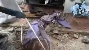 эксгумация тела