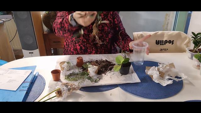 Unboxing смотреть онлайн