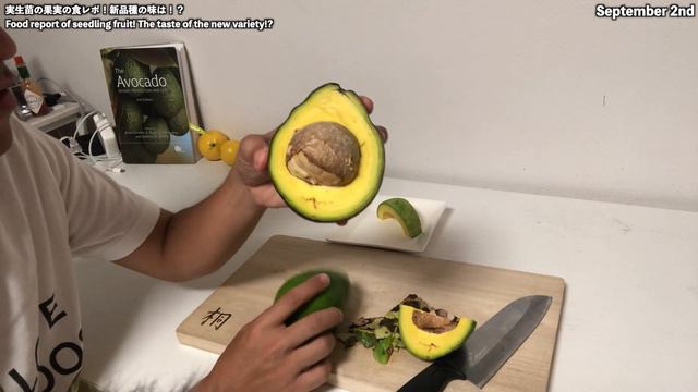 【実生アボカド】種から作った新しい品種のアボカド！味はどうだ！？ смотреть онлайн