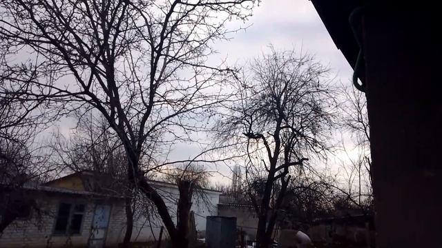 Пасмурно и морозно #11февраля #2023год #-7° #пасмурно #морозно #мороз #восходсолнца #сыро #ветерок смотреть онлайн