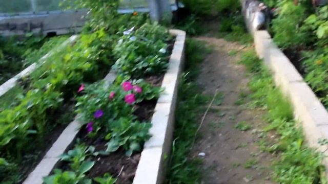 С Днём семьи,любви и верности смотреть онлайн