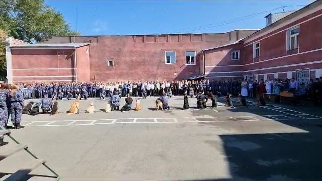 Кинология