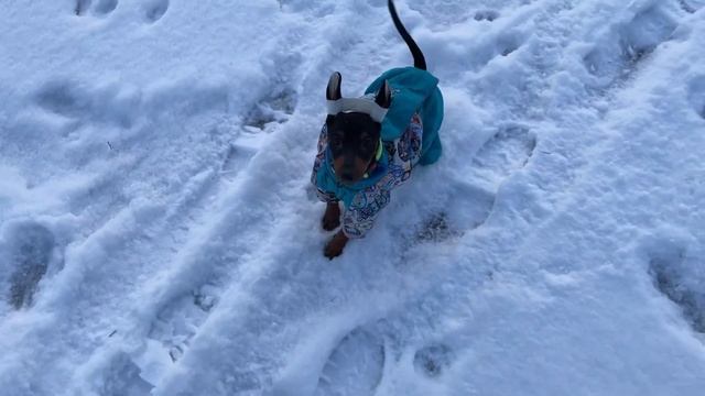 26 ноября 2023 г. смотреть онлайн