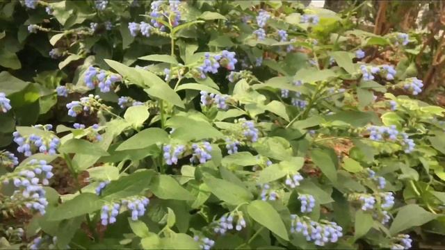 Красная площадь 2022, Манежная площадь #Москва,Посетили парк Зарядье смотреть онлайн