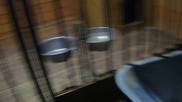 После охоты всем лайкам каши