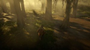Red Dead Redemption 2 - Испытание травника 9 \ 10