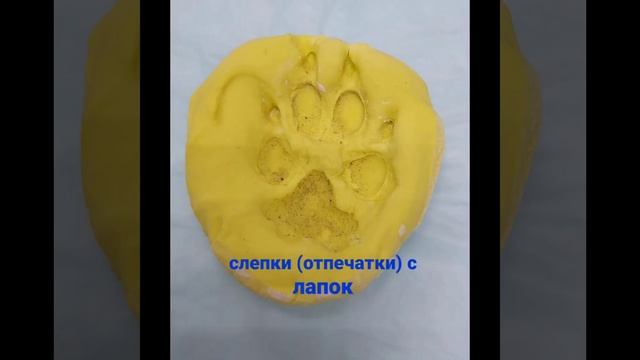 Ветеринарная ритуальная служба "РитуалЭнимал"г. Челябинск. смотреть онлайн