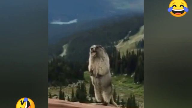в конце может быть смешно! смотреть онлайн