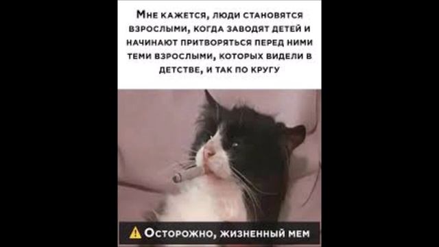топ 7 фото над которыми стоит задуматься!!! смотреть онлайн