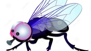 К чему снится муха, много мух