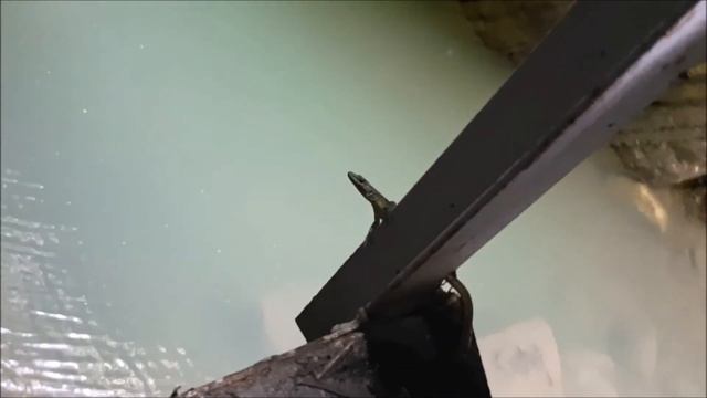 Лазаревское. Крабовое ущелье. Мамедова щель. Берендеево царство. Свирское ущелье.Каньон реки Таштай смотреть онлайн