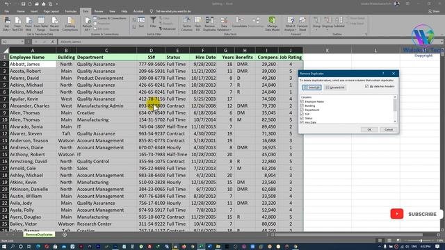 Removing Duplicate Records - Microsoft Excel for Beginners in Sinhala - Part 35 смотреть онлайн