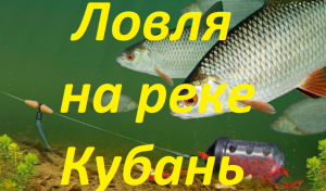 Рыбалка на фидер на реке Кубань в Краснодаре Старый авторынок караси густера рыбцы