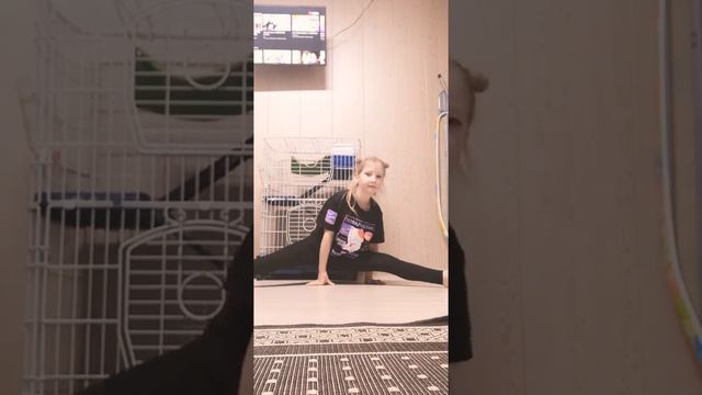 Как заделать шпакат за несколько дней смотреть онлайн