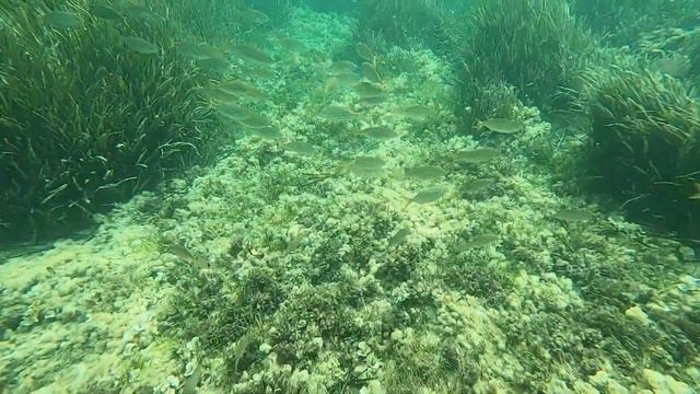 Средиземное море смотреть онлайн