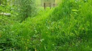 Катим на НИВЕ на дачу в д. Красный луг . Отпуск июнь 2022 Красноуфимский район. Цивилизации нет