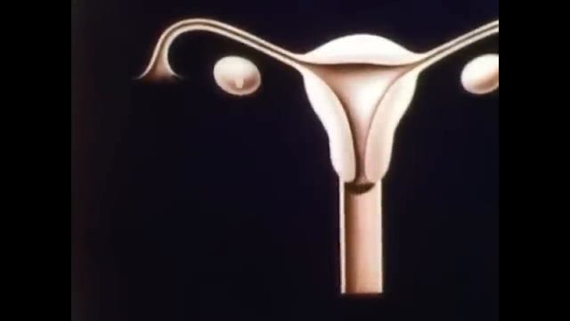 The Story Of Menstruation смотреть онлайн