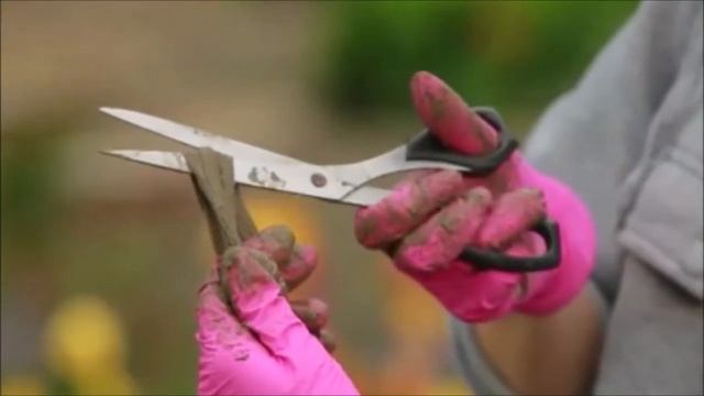 Садовые Гномики своими руками смотреть онлайн