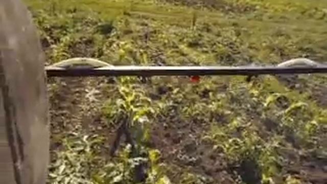 опрыскивание кукурузы мотоблоком смотреть онлайн