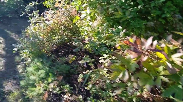 Конец сентября