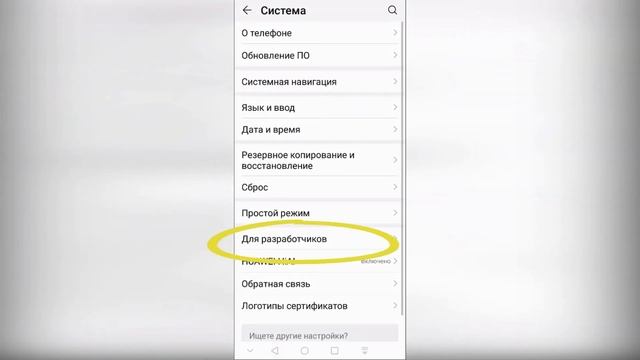 режим разработчика
