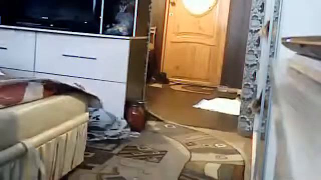 Что делает собака когда дома нет хозяев Часть 1 смотреть онлайн