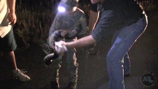8 Year Old Boy Catches Wild Pythons! The Python Hunter : AnimalBytesTV смотреть онлайн