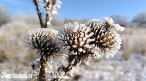 26 февраля народный праздник Мартынов День. Что нельзя делать. Народные традиции и приметы.