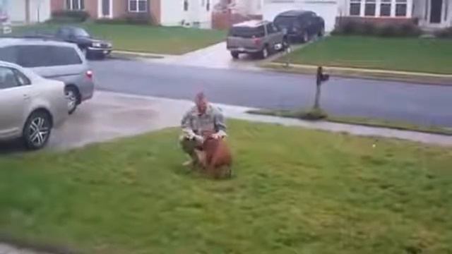 Собака встречает хозяина после 2 лет разлуки смотреть онлайн