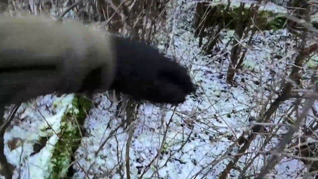 Охота на ЗАЙЦА. 6 января 2020г. смотреть онлайн