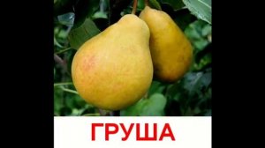 Презентации для детей по Доману «Фрукты»