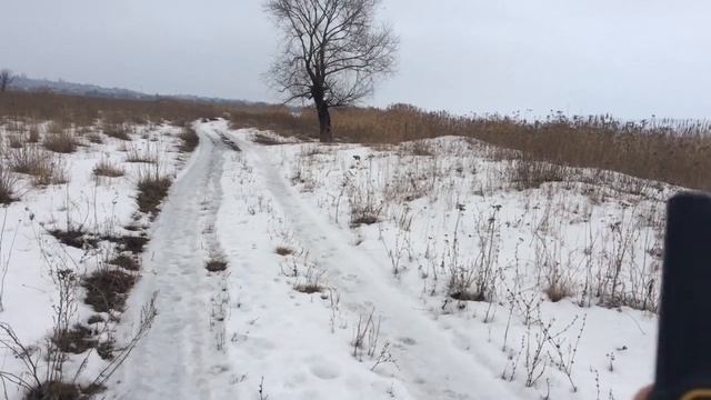 Электронный ошейник для дрессировки собак RT880: Научил команде 