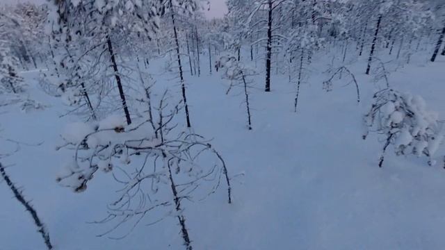 ЭКСТРЕМАЛЬНАЯ ОХОТА!!! ОХОТА НА ТЕТЕРЕВА-КОСАЧА НА ЛУНКАХ В -30 (день 3) смотреть онлайн