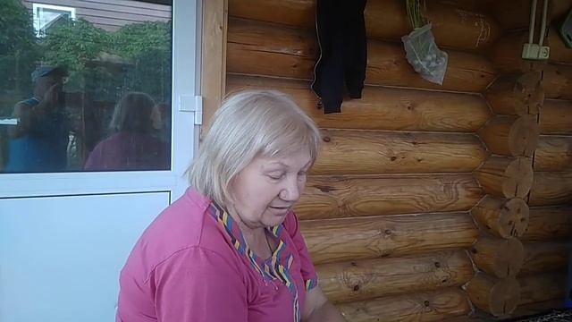 УБОРКА УРОЖАЯ ТОМАТОВ! В КОЛЛЕКЦИЮ : СОРТ ТОМАТОВ "КОРОЛЕВСКАЯ КРАСОТА"! смотреть онлайн