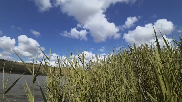 Флэт пикер на озере: волшебная атмосфера и поклёвки крупным планом. смотреть онлайн