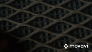 введение первое видео