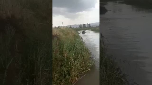 сел дар н.Ёвон аллох нигахбонтон шава хаммай шуморо 24.05.2023? смотреть онлайн