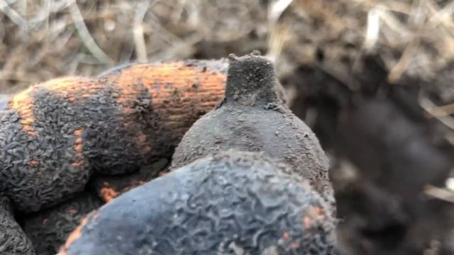 Копаем на поле ранних советов! смотреть онлайн