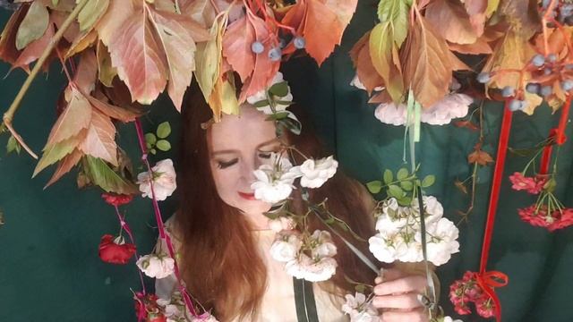 Не Кеплер Иоган смотреть онлайн