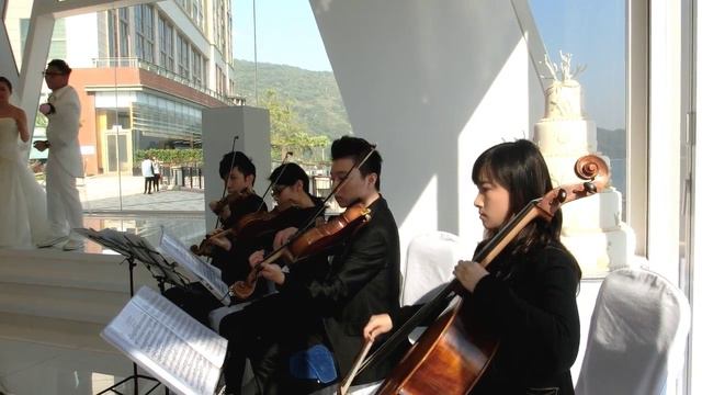 Serenade Music (wedding Performance) - Mozart Serenade K.525 In G Major 1st Mvt.