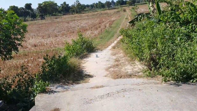 DRONE MENANGKAP SOSOK TALKING ANGELA MENGGUNAKAN MAINAN KUCING LUCU!!😱 #TERSERAM смотреть онлайн