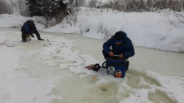 рыбалка на таёжной речке ??? учётный клёв #елец  часть 1