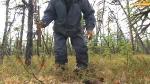 Ловля ленка и тайменя. Команда Лоц-Мэн  Fishing for lenok and taimen. Team Lotz-Maine