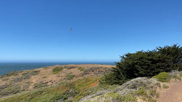 Marin Headlands - прогулка над Тихим океаном. смотреть онлайн
